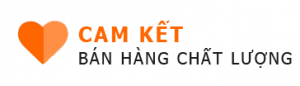 Kiểm định sài gòn