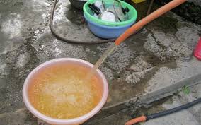 Kiểm định sài gòn