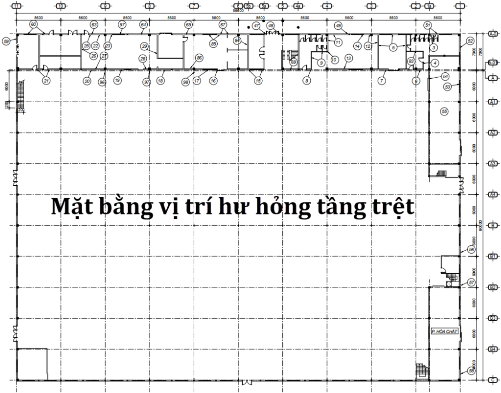 Kiểm định sài gòn