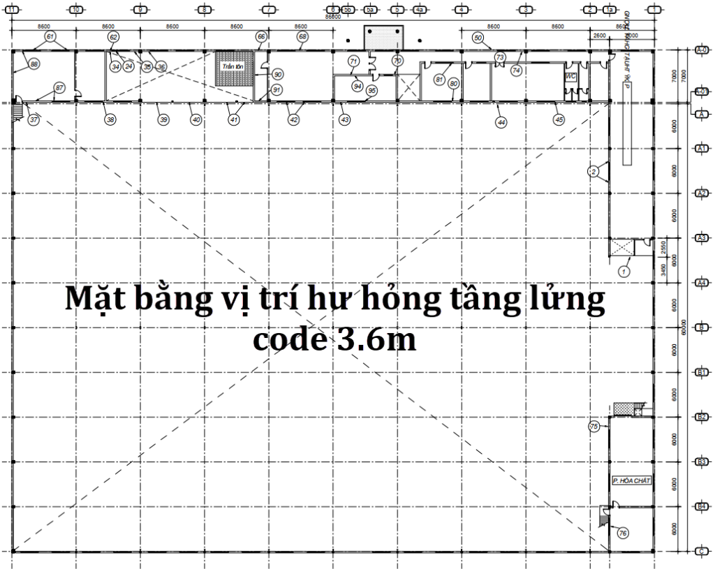 Kiểm định sài gòn